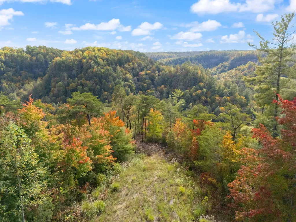 Lot 65 Shawnee Run Rogers KY 41365