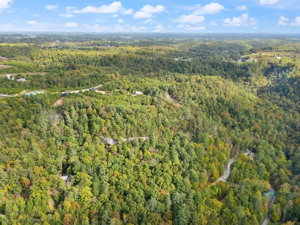 Lot 65 Shawnee Run Rogers KY 41365