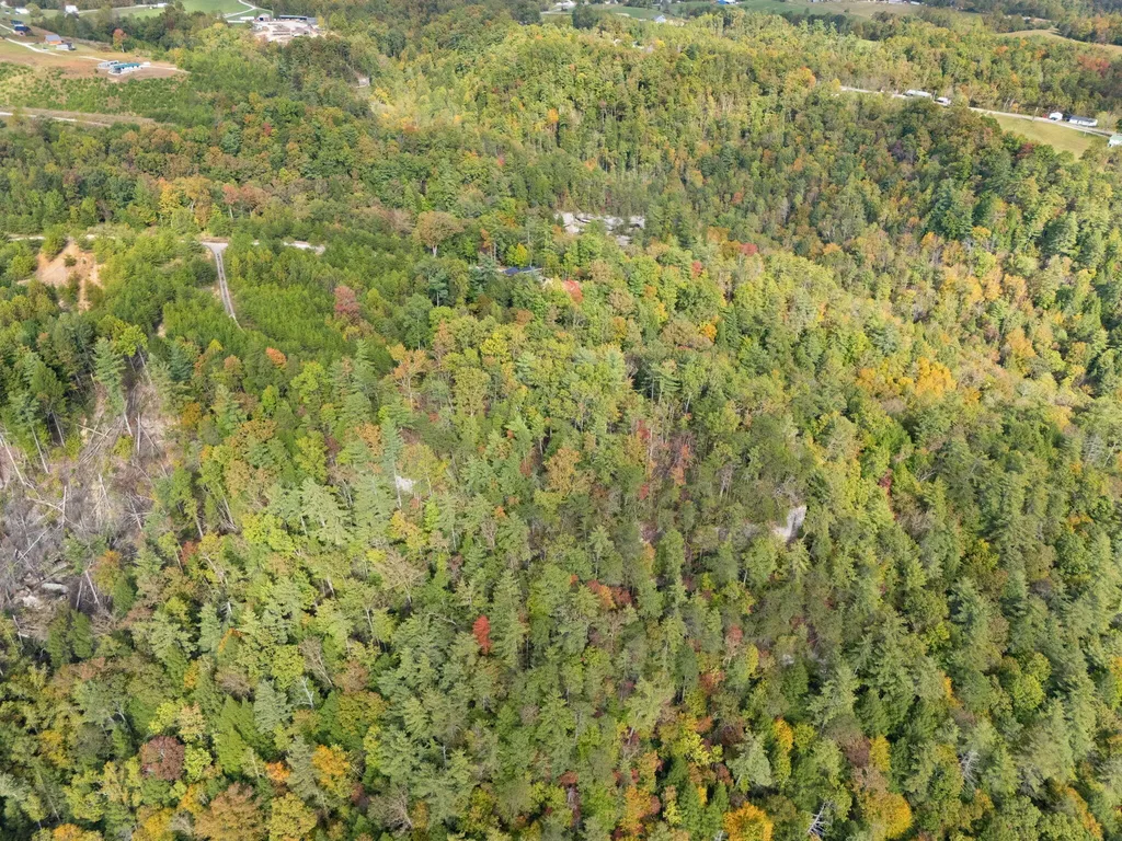 Lot 65 Shawnee Run Rogers KY 41365