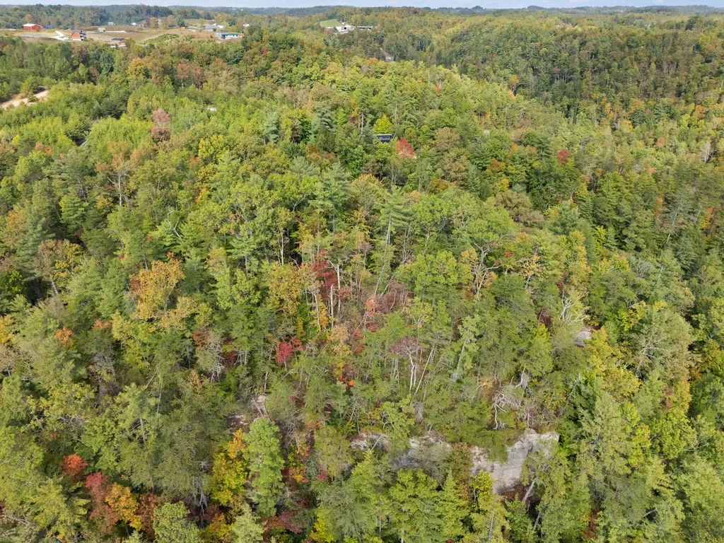 Lot 65 Shawnee Run Rogers KY 41365