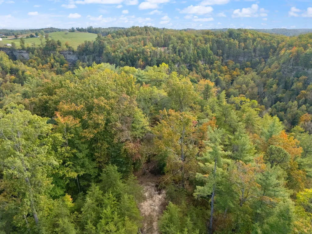 Lot 65 Shawnee Run Rogers KY 41365