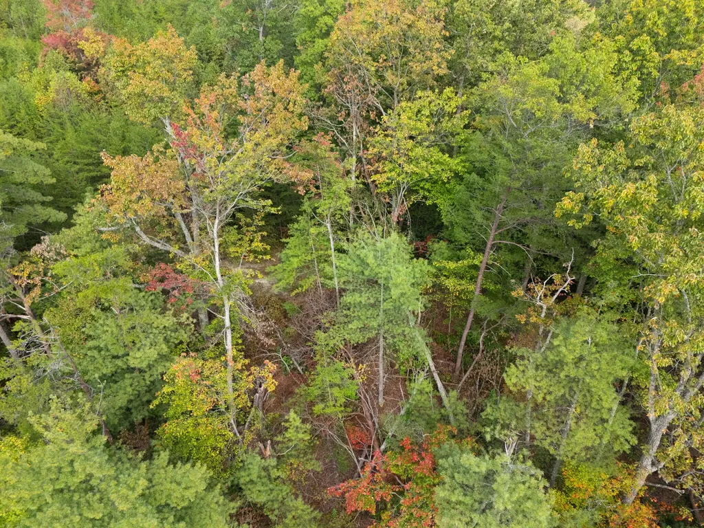 Lot 65 Shawnee Run Rogers KY 41365