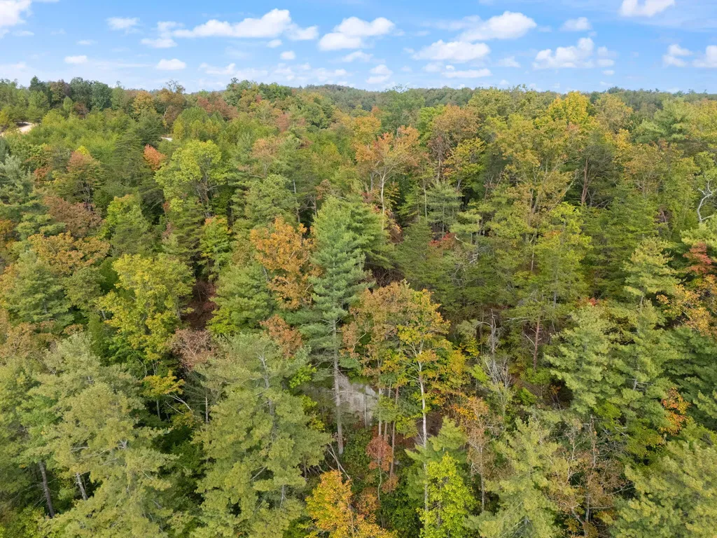 Lot 65 Shawnee Run Rogers KY 41365