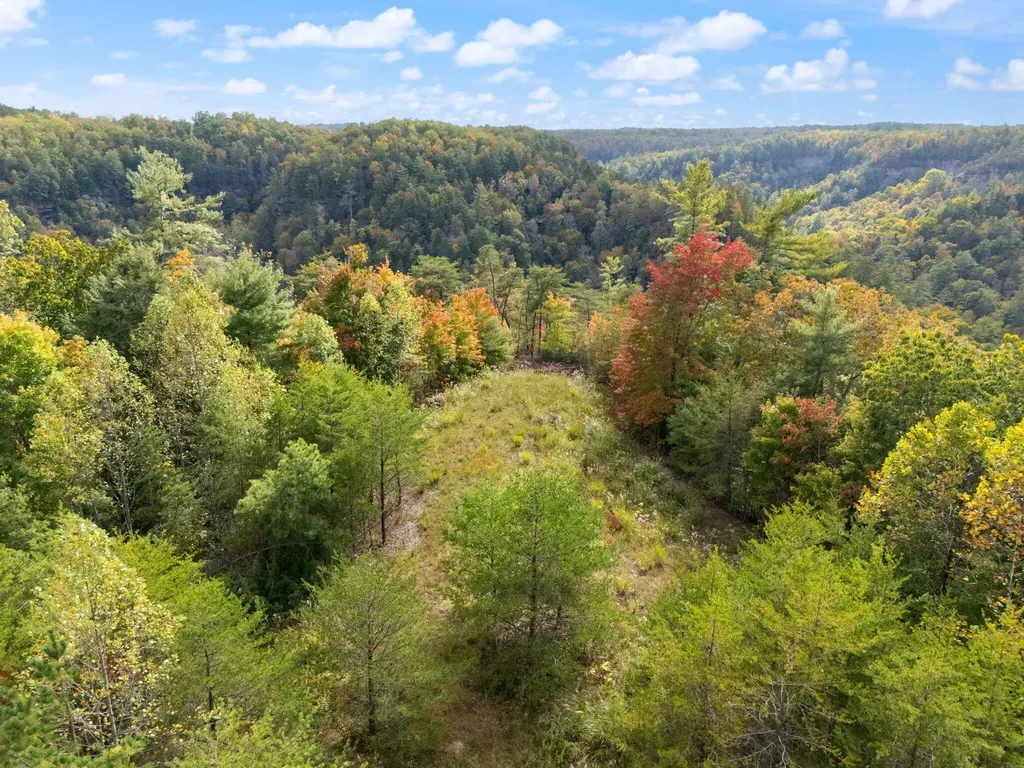 Lot 65 Shawnee Run Rogers KY 41365