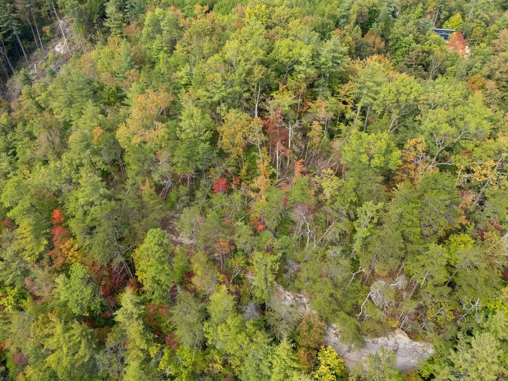 Lot 65 Shawnee Run Rogers KY 41365
