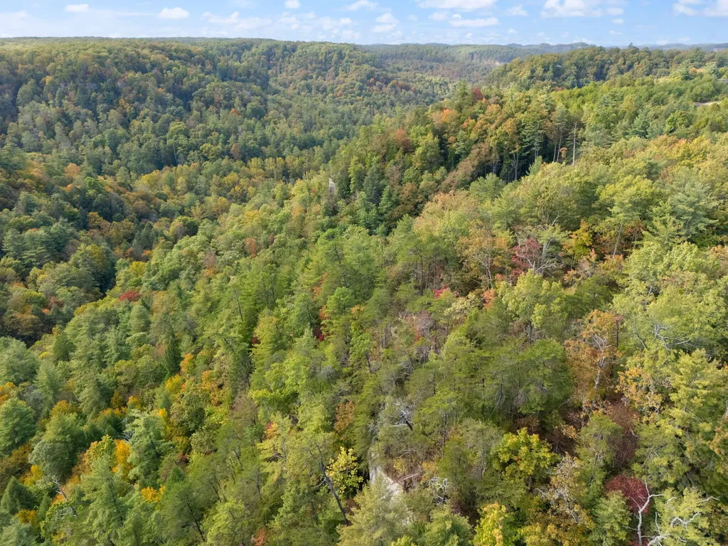 Lot 65 Shawnee Run Rogers KY 41365