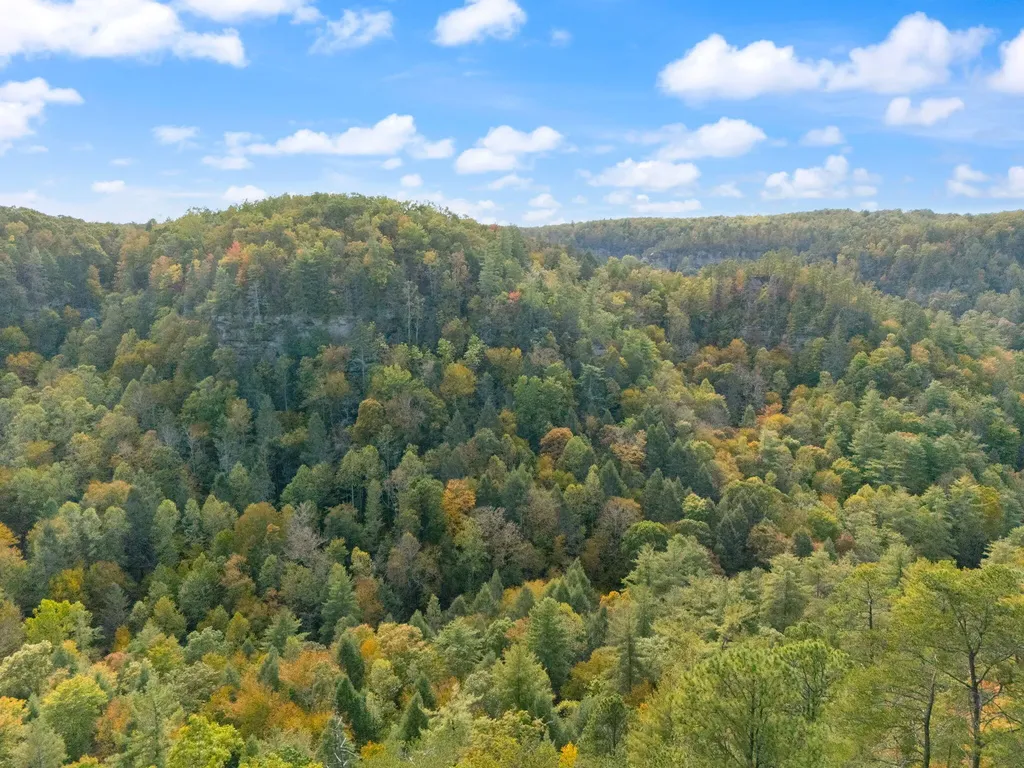 Lot 65 Shawnee Run Rogers KY 41365