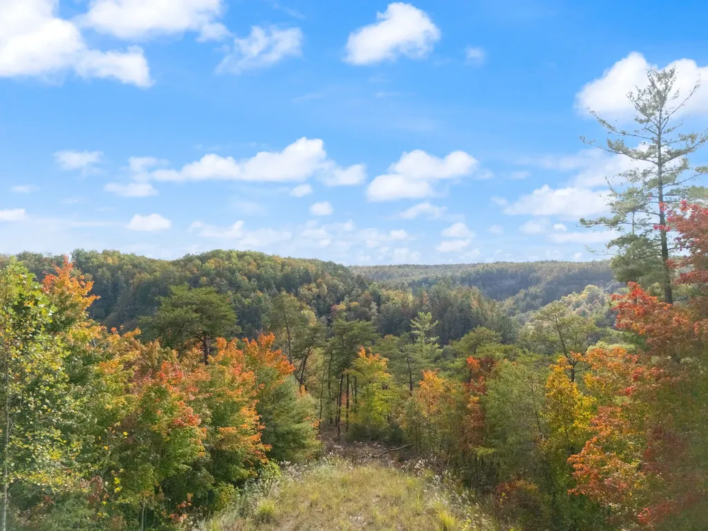 Lot 65 Shawnee Run Rogers KY 41365