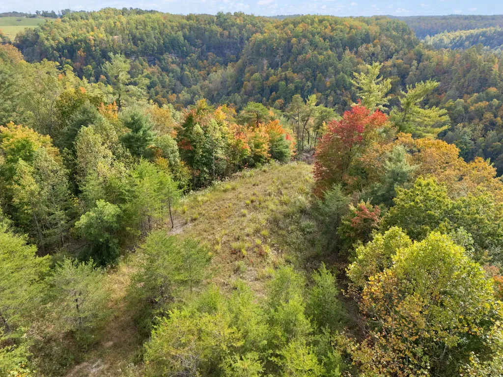 Lot 65 Shawnee Run Rogers KY 41365