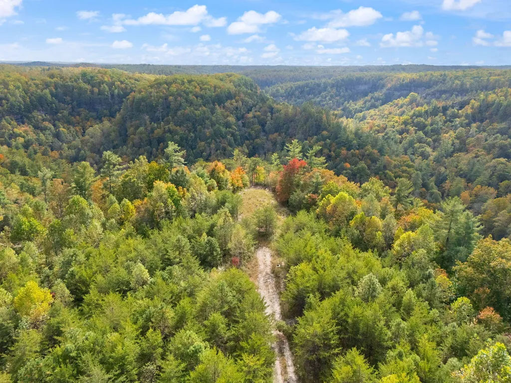 Lot 65 Shawnee Run Rogers KY 41365
