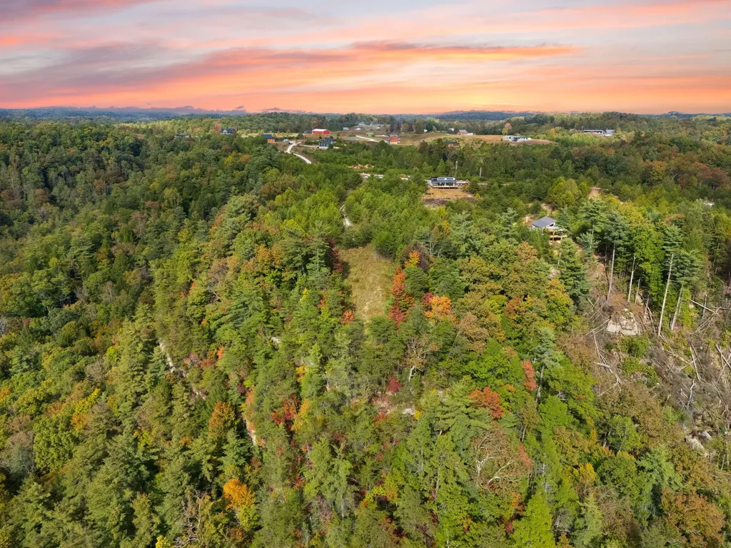 Lot 65 Shawnee Run Rogers KY 41365