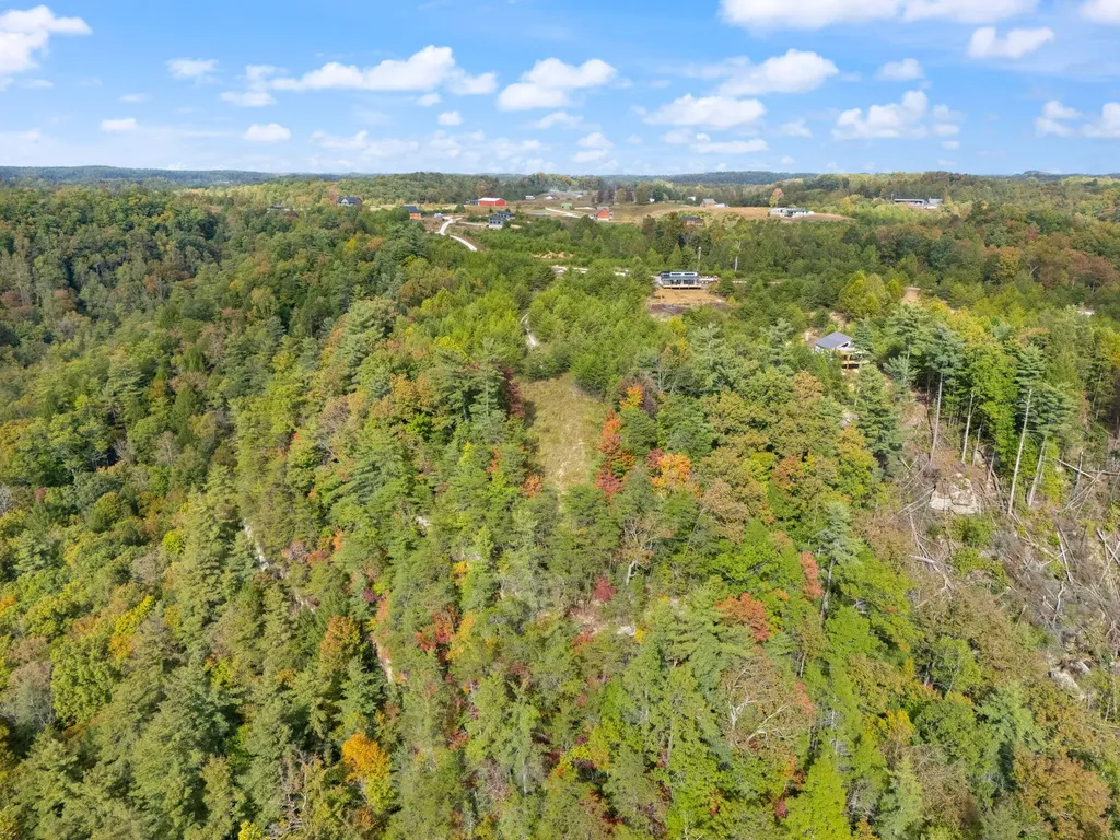 Lot 65 Shawnee Run Rogers KY 41365