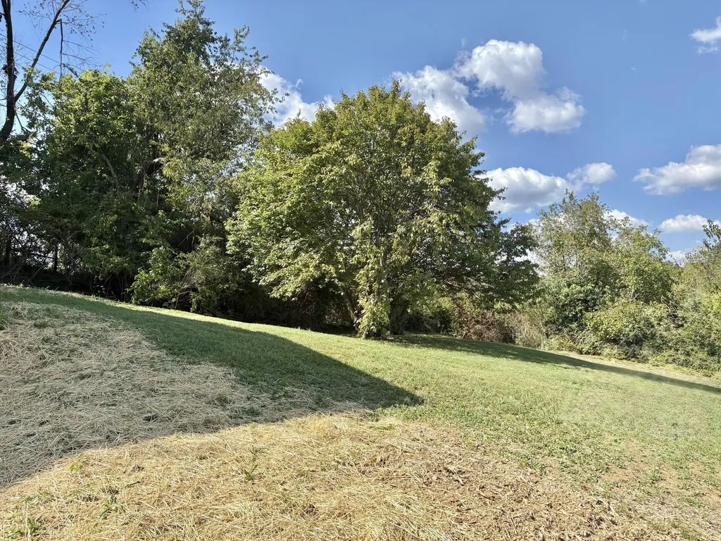 247 Juniper Court Mt Sterling KY 40353