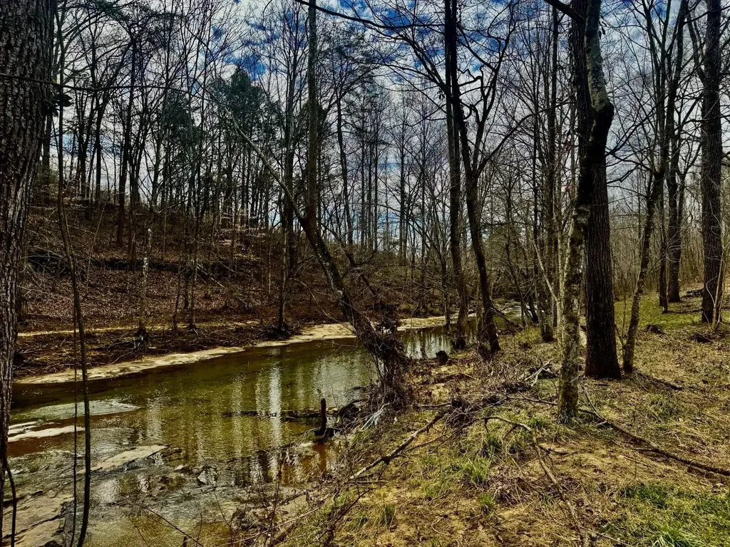 124 Bens Cliff Road Monticello KY 42633