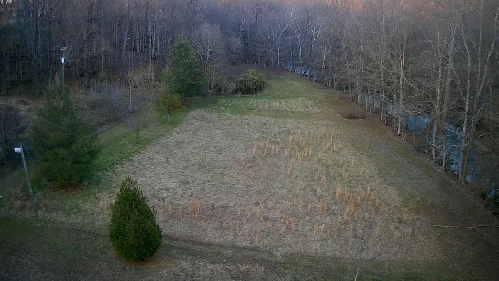 124 Bens Cliff Road Monticello KY 42633