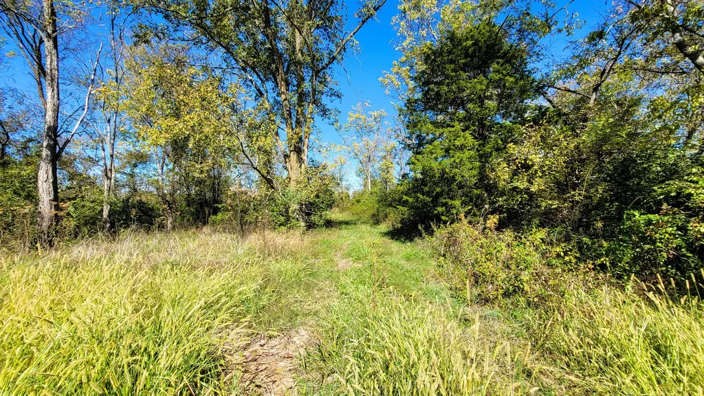 595 Tulip Poplar Lane Flemingsburg KY 41041