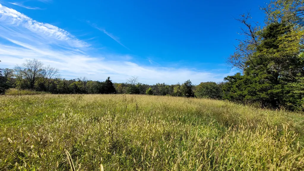 595 Tulip Poplar Lane Flemingsburg KY 41041