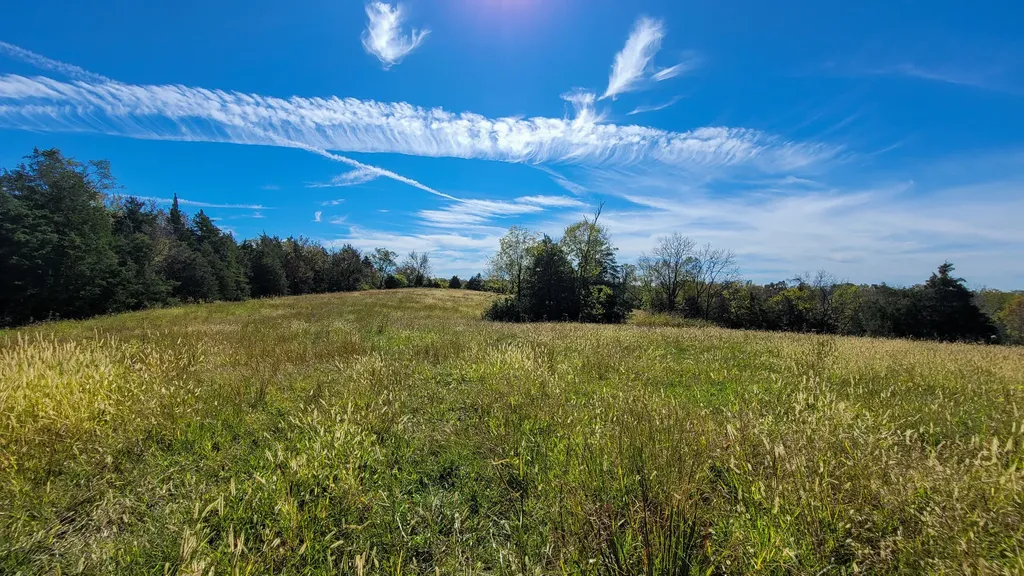 595 Tulip Poplar Lane Flemingsburg KY 41041