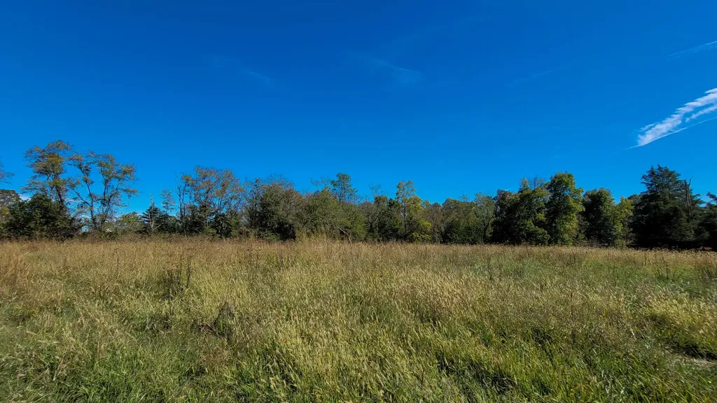 595 Tulip Poplar Lane Flemingsburg KY 41041