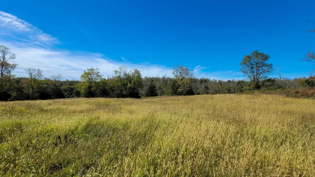 595 Tulip Poplar Lane Flemingsburg KY 41041