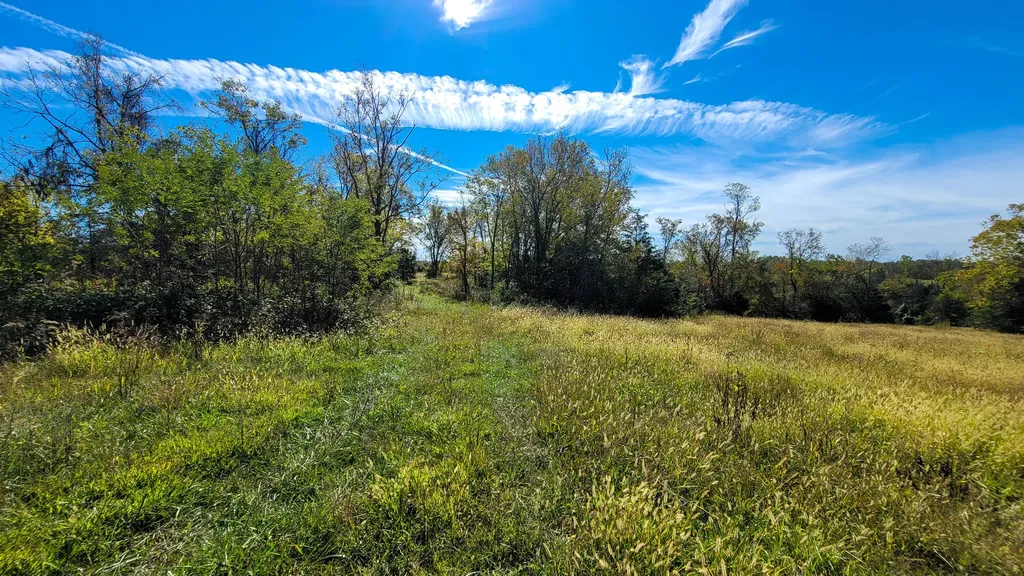 595 Tulip Poplar Lane Flemingsburg KY 41041