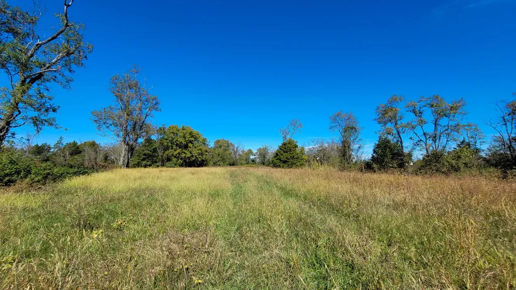 595 Tulip Poplar Lane Flemingsburg KY 41041