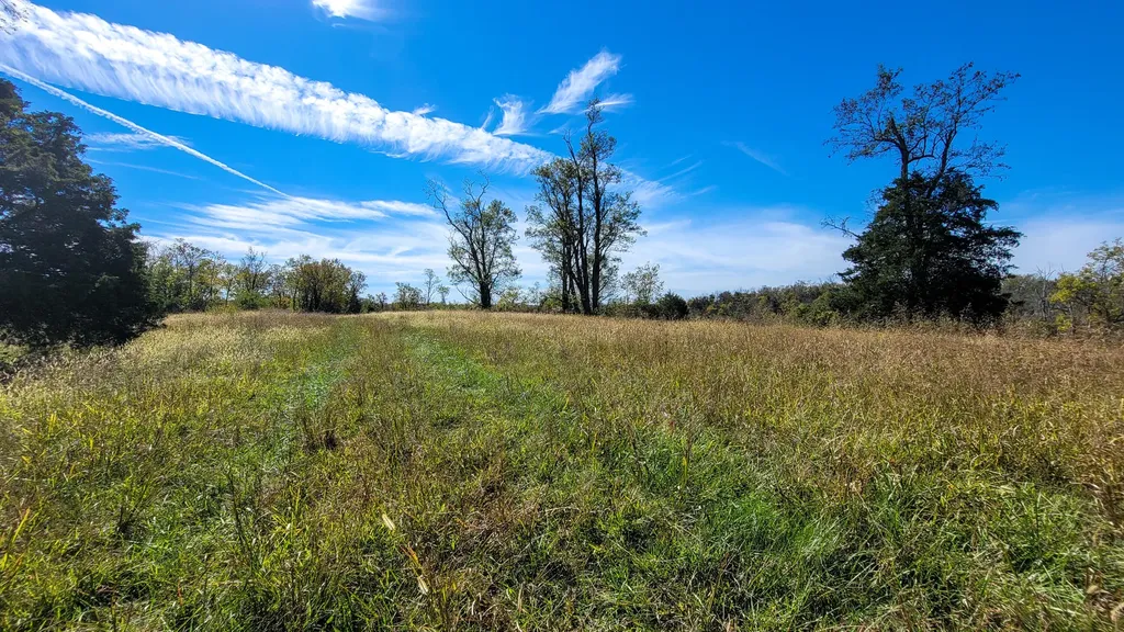 595 Tulip Poplar Lane Flemingsburg KY 41041