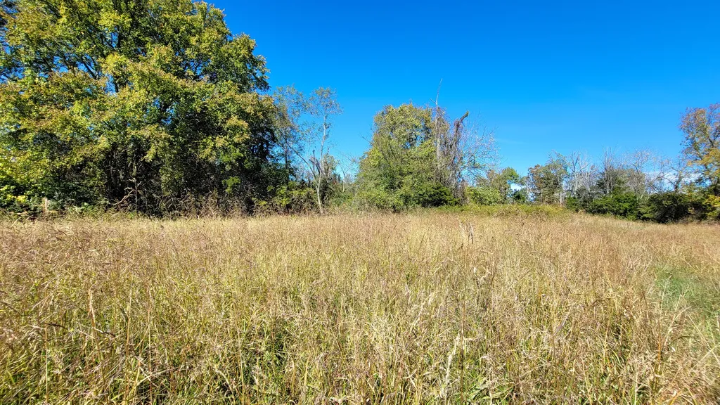 595 Tulip Poplar Lane Flemingsburg KY 41041
