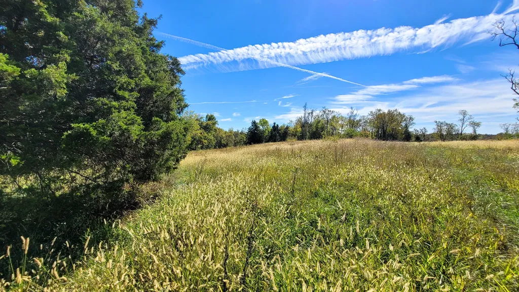 595 Tulip Poplar Lane Flemingsburg KY 41041
