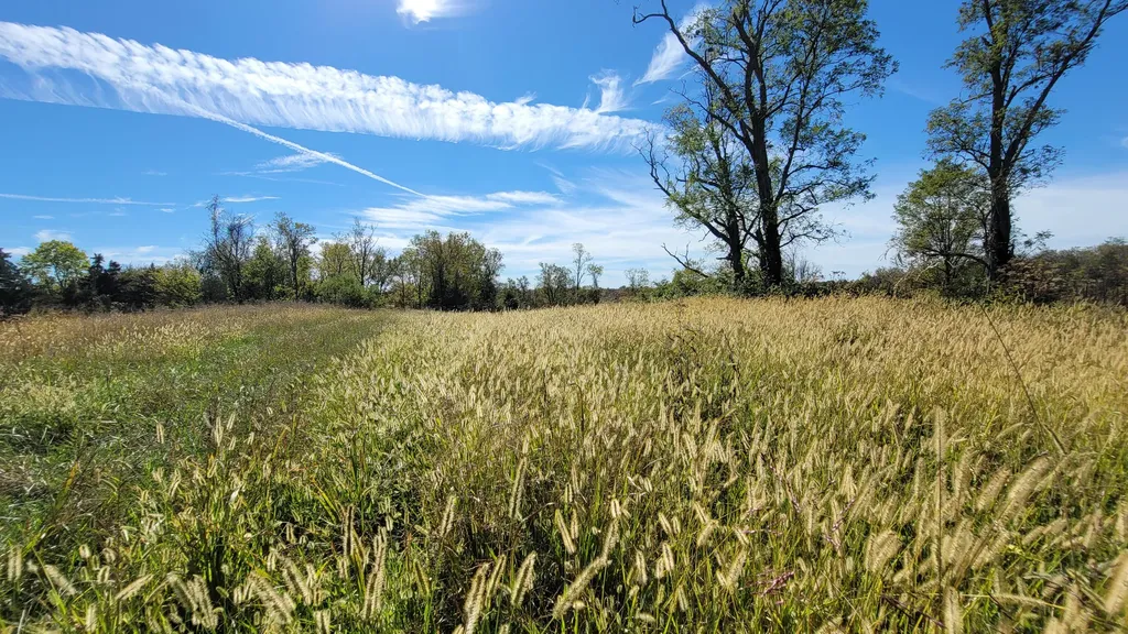 595 Tulip Poplar Lane Flemingsburg KY 41041