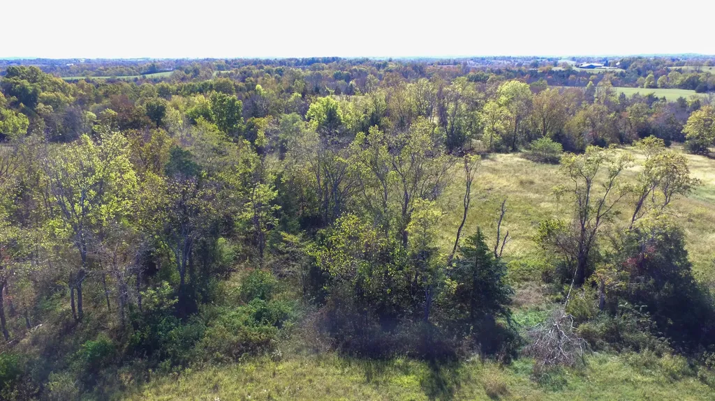 595 Tulip Poplar Lane Flemingsburg KY 41041
