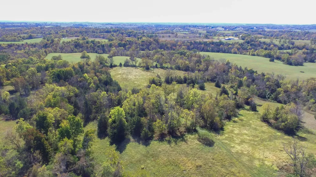 595 Tulip Poplar Lane Flemingsburg KY 41041