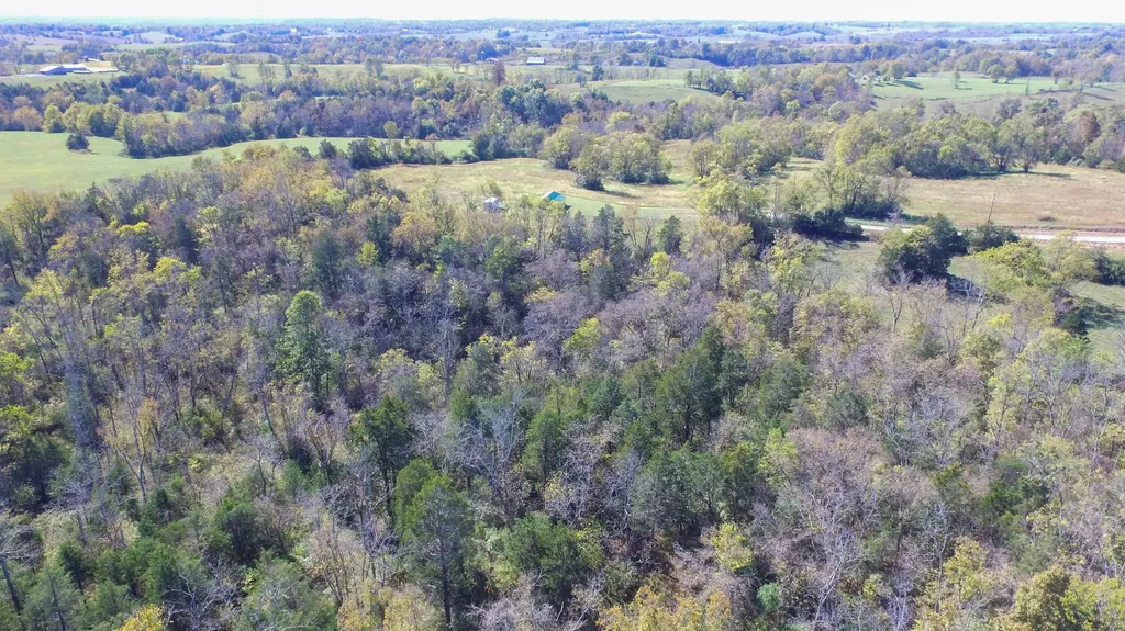 595 Tulip Poplar Lane Flemingsburg KY 41041