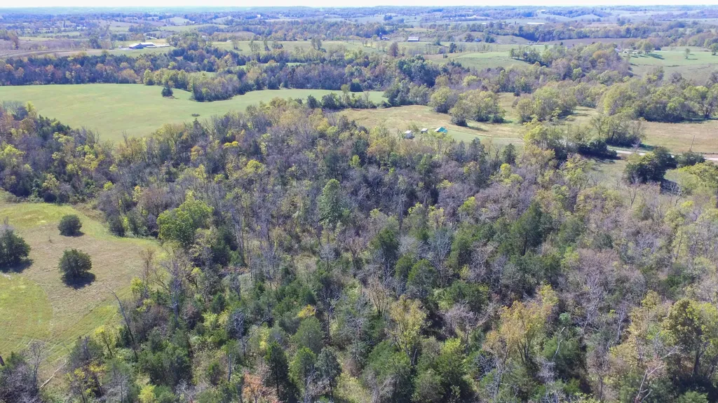 595 Tulip Poplar Lane Flemingsburg KY 41041