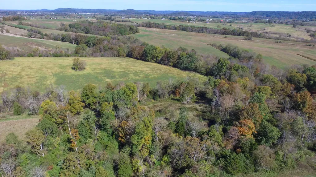 595 Tulip Poplar Lane Flemingsburg KY 41041