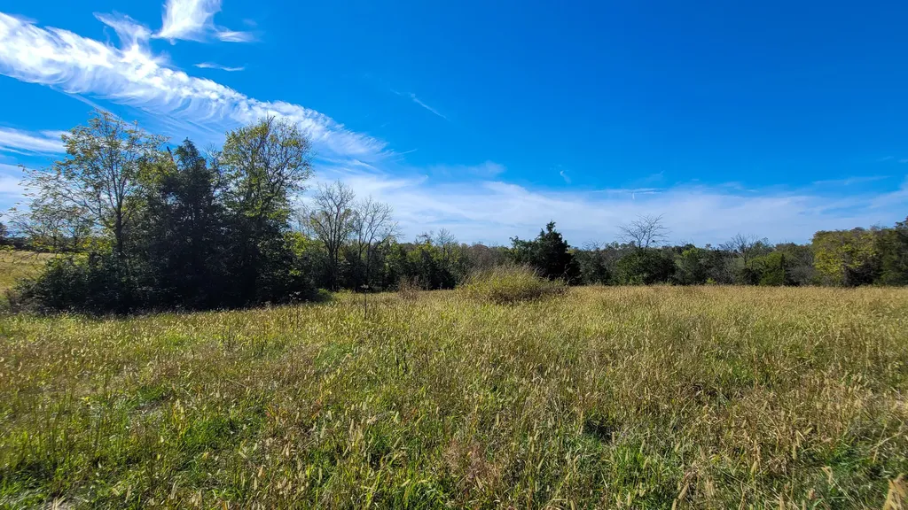595 Tulip Poplar Lane Flemingsburg KY 41041