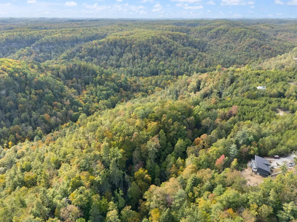 Lot 61 Shawnee Run Rogers KY 41365