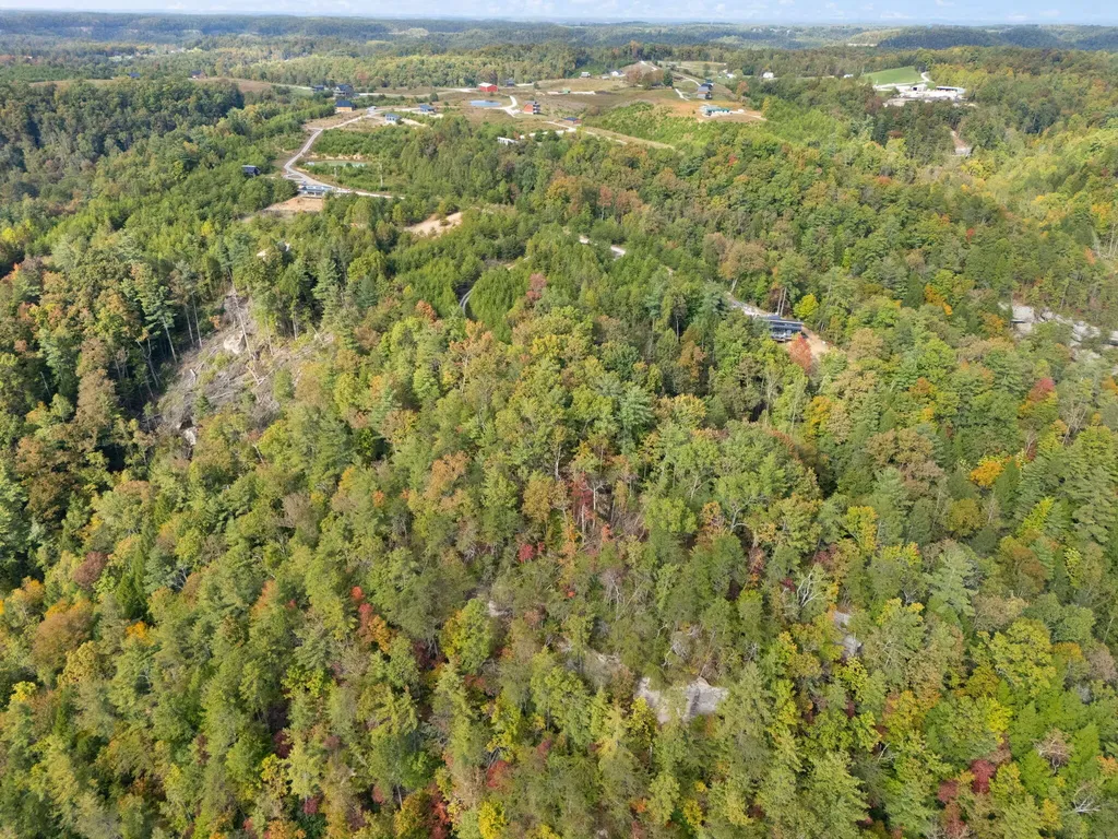Lot 61 Shawnee Run Rogers KY 41365