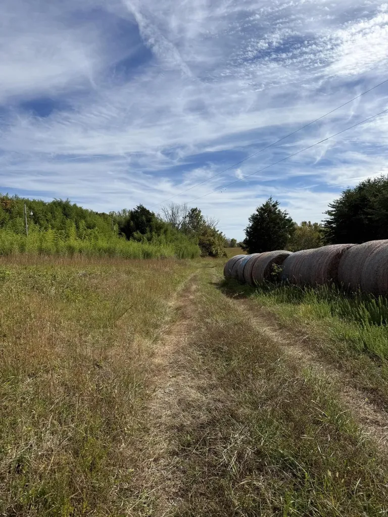 1660 Crocus Road Jamestown KY 42629