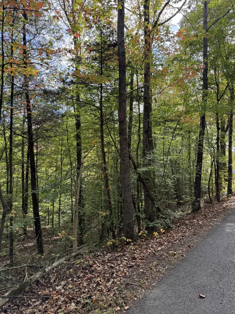 1660 Crocus Road Jamestown KY 42629