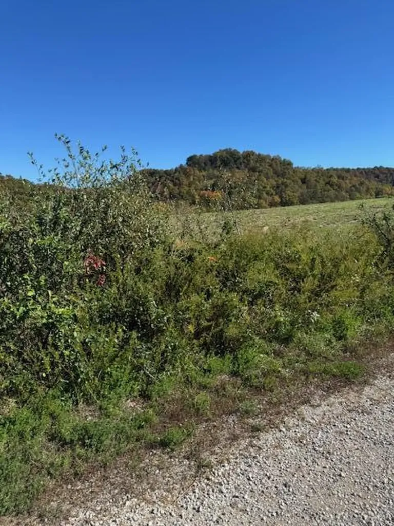 468 Botner Road Booneville KY 41314