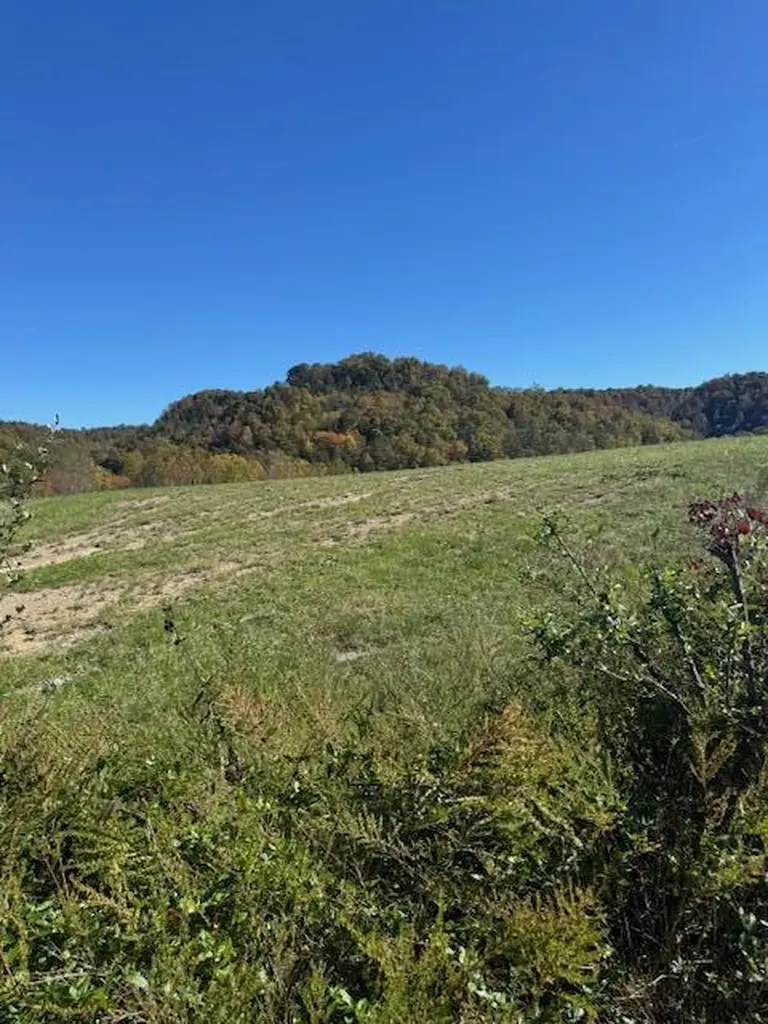 468 Botner Road Booneville KY 41314