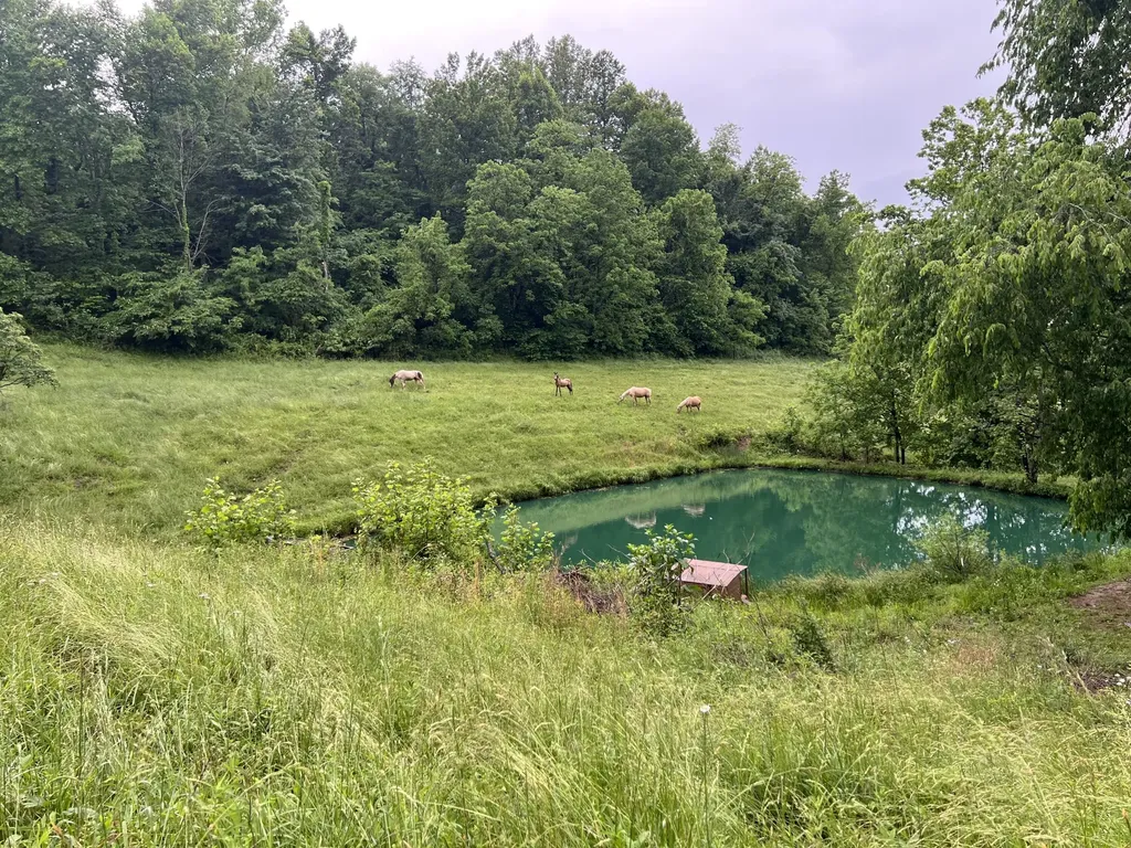 811 Glen Lawson Road Ezel KY 41425