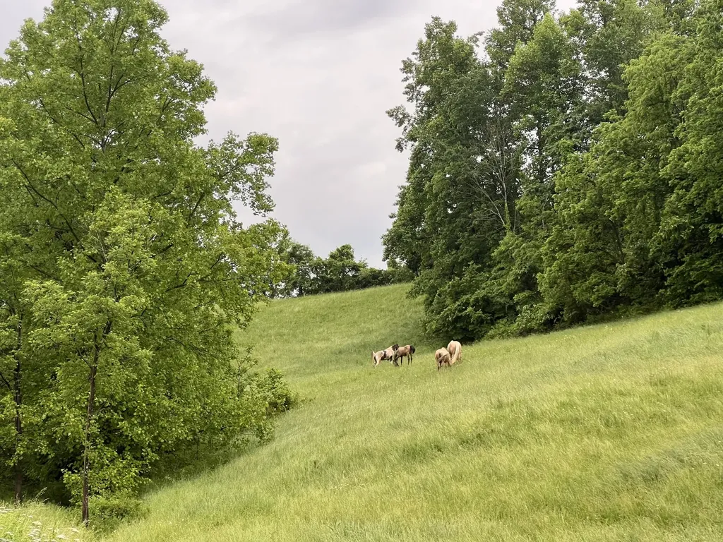 811 Glen Lawson Road Ezel KY 41425