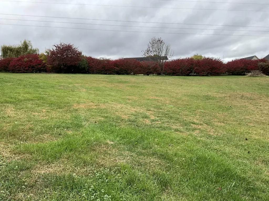 415 Splendor View Drive Somerset KY 42503