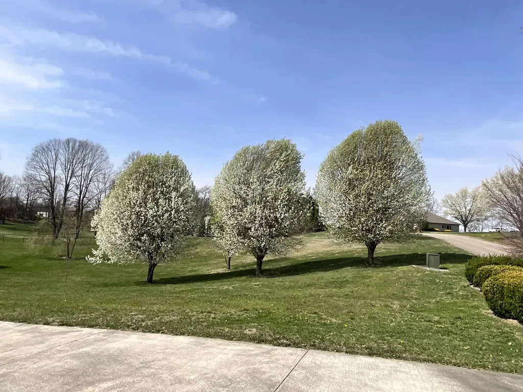 415 Splendor View Drive Somerset KY 42503