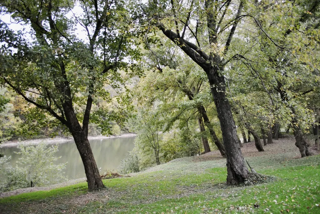1900 Shore Acres Road Frankfort KY 40601