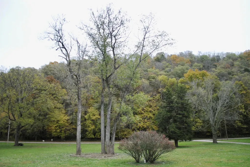 1900 Shore Acres Road Frankfort KY 40601