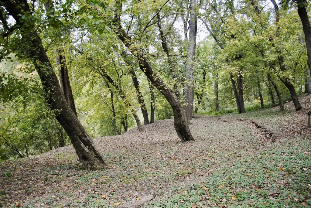 1900 Shore Acres Road Frankfort KY 40601