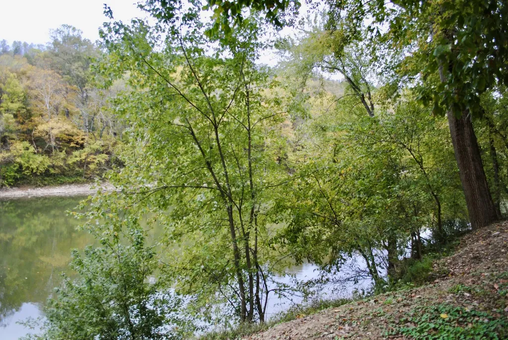 1900 Shore Acres Road Frankfort KY 40601